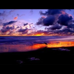 Meet your Posher, Ashton